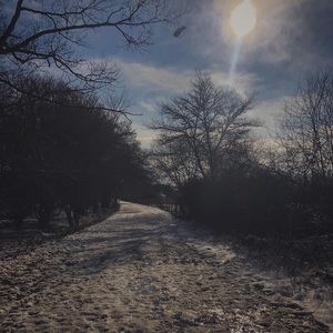 Meet your Posher, Matt